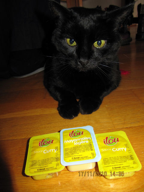 2010-11-20 Priscilla et Lilith_l.jpg